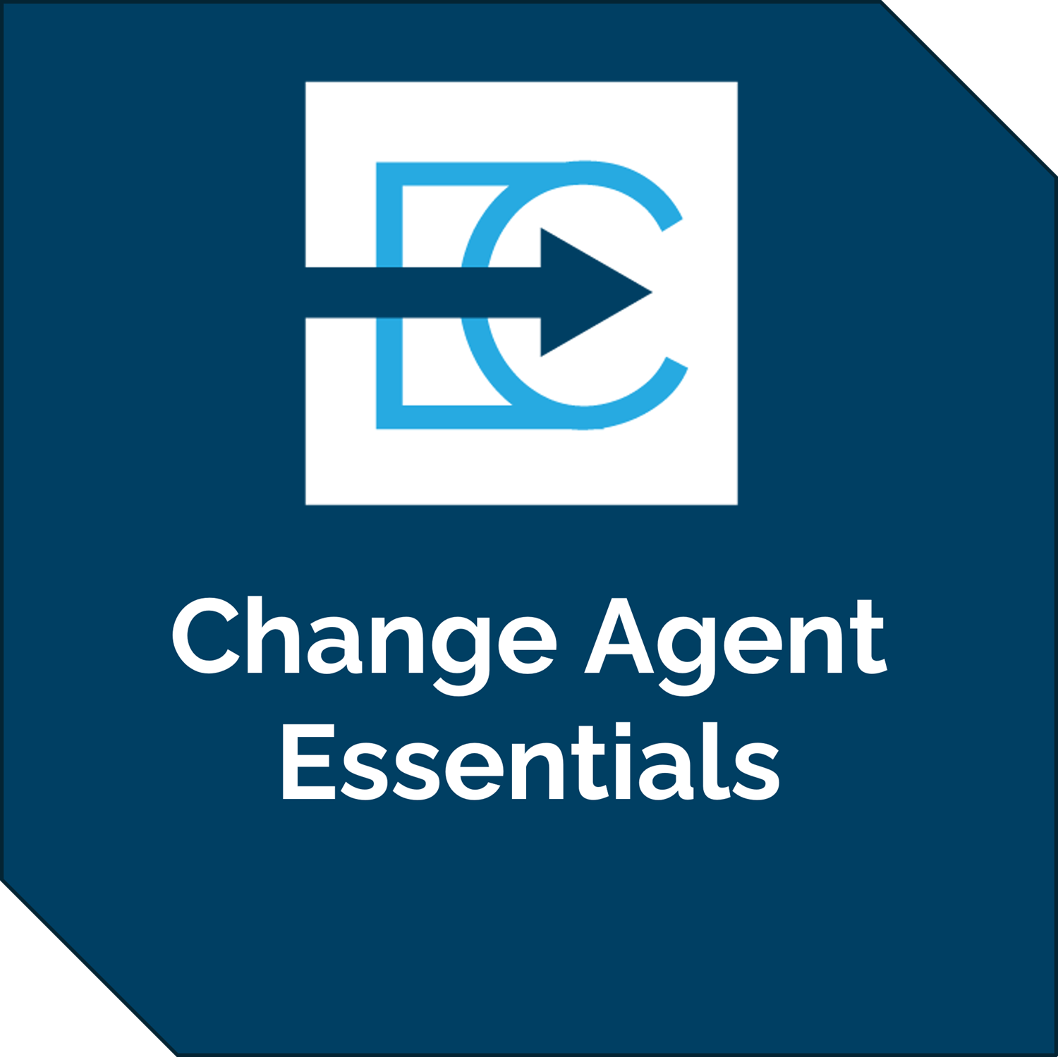 Change Agent Essentials